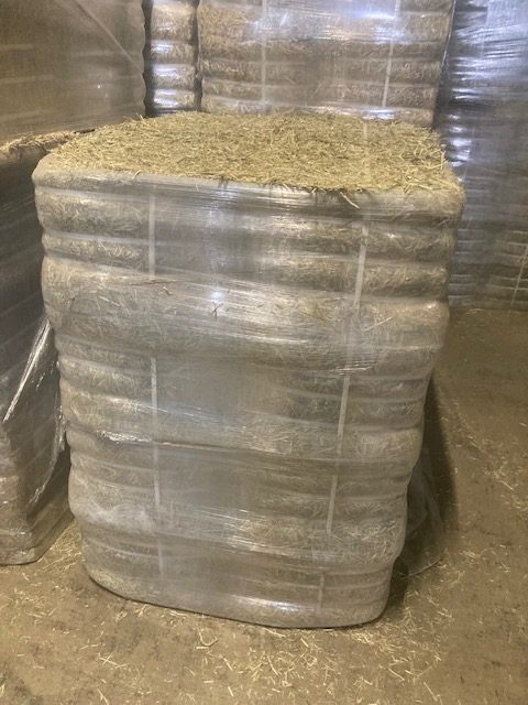 カナダ産1stcutチモシー